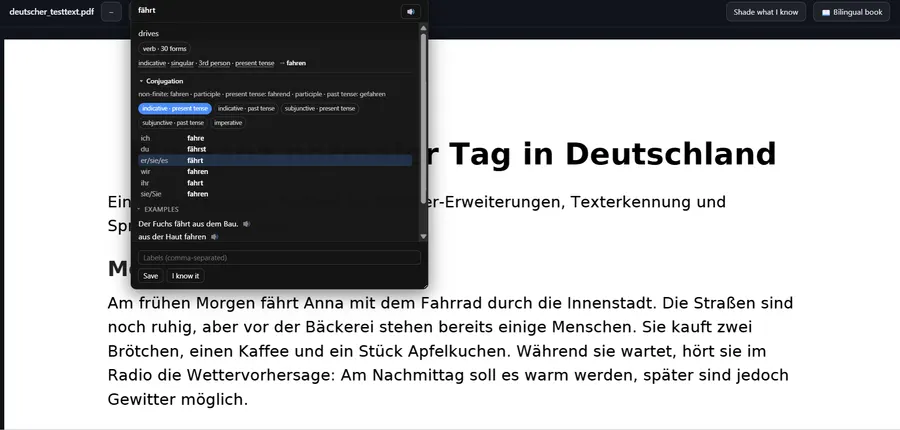 A German PDF open in the viewer with a word selected and its meaning, grammar and conjugation shown in a panel beside it.